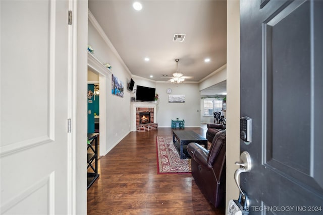 living room featuring ceiling fan, a fireplace, dark wood-type flooring, and ornamental molding