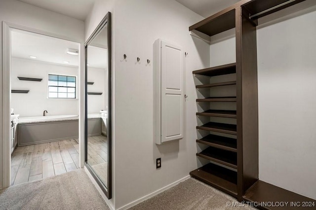 spacious closet featuring carpet and wood finished floors