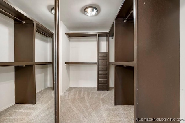 spacious closet with light colored carpet