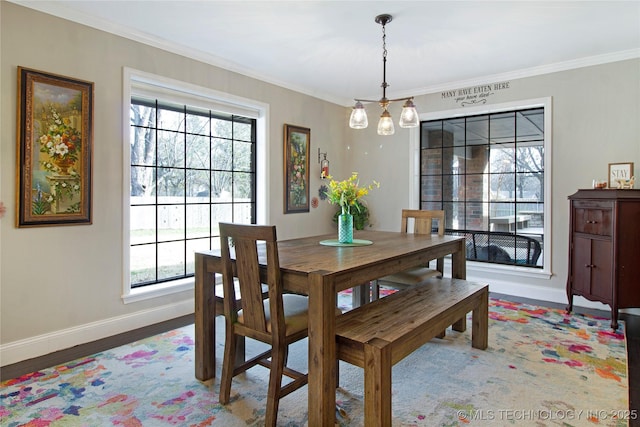 dining room with baseboards, ornamental molding, wood finished floors, and a healthy amount of sunlight