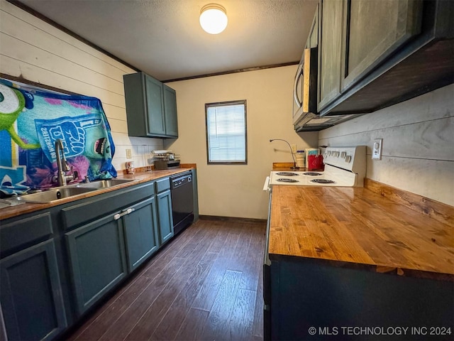 kitchen featuring butcher block countertops, dishwasher, dark hardwood / wood-style flooring, and sink