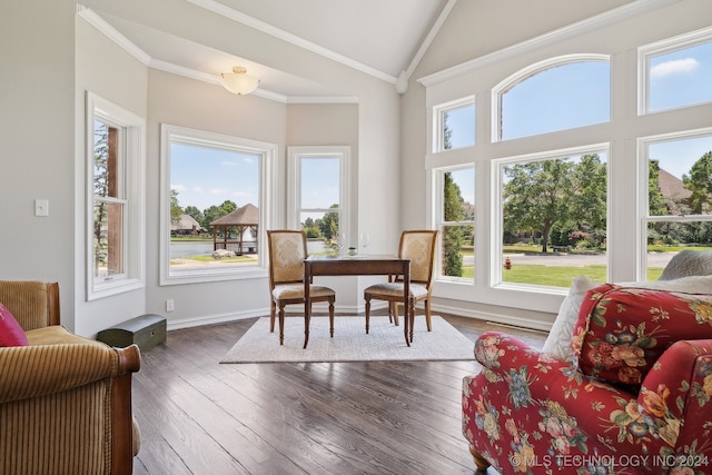 interior space featuring ornamental molding, high vaulted ceiling, and dark hardwood / wood-style flooring