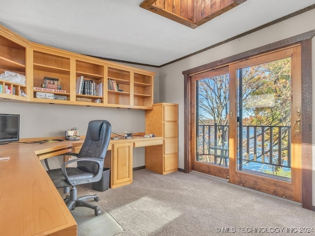 home office with light carpet, built in desk, and ornamental molding