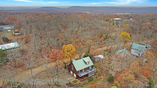 drone / aerial view featuring a mountain view