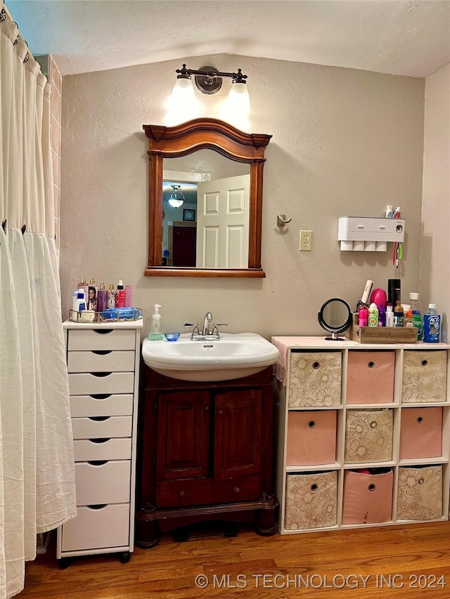 bathroom featuring vanity and wood-type flooring