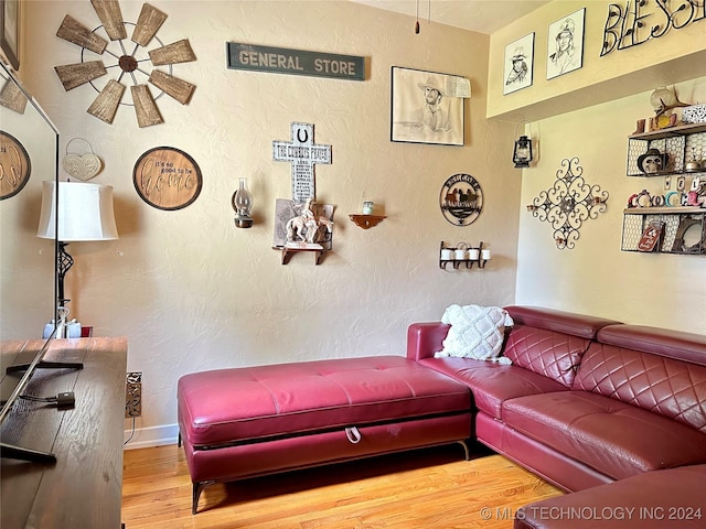 living room featuring hardwood / wood-style floors