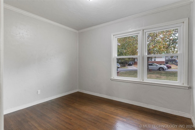 spare room with crown molding and dark wood-type flooring