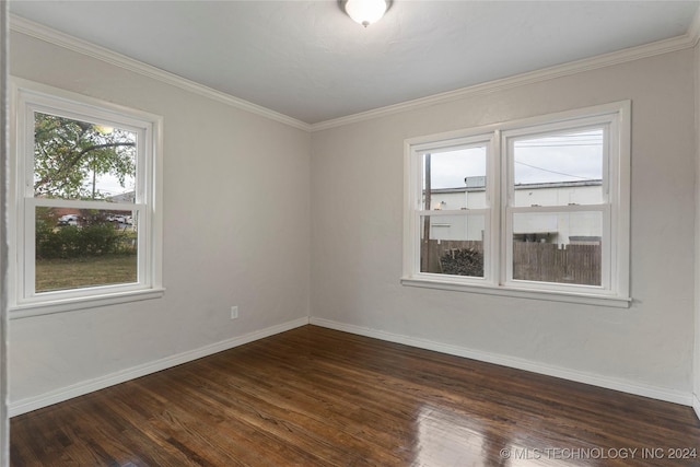 spare room with ornamental molding and dark wood-type flooring