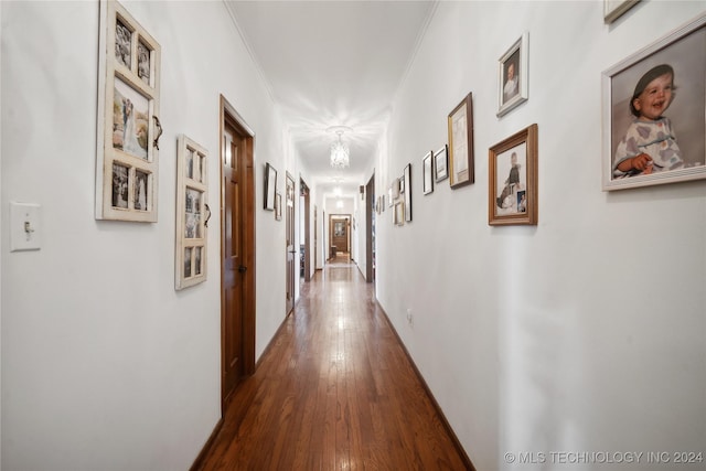 hallway featuring dark hardwood / wood-style floors and crown molding