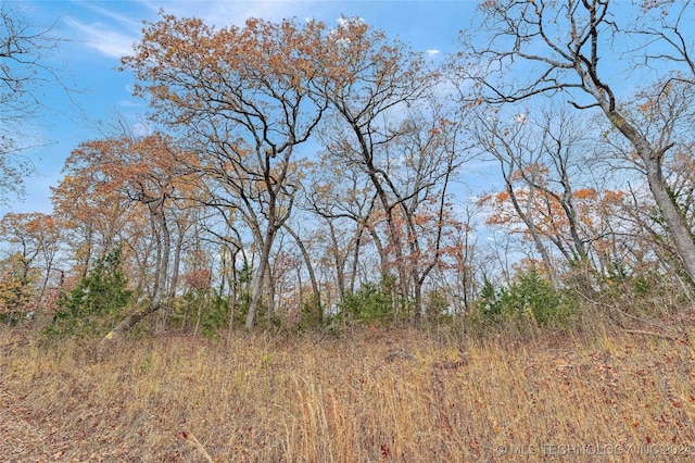 view of local wilderness