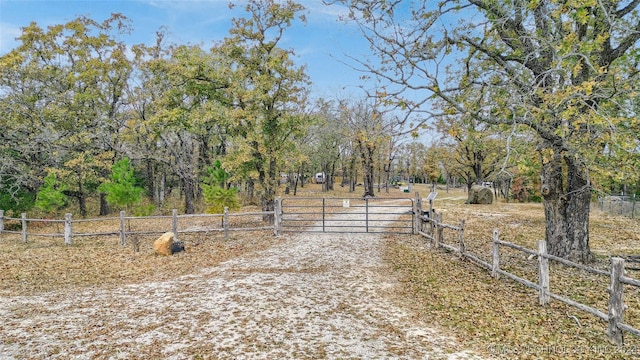 view of yard with a rural view