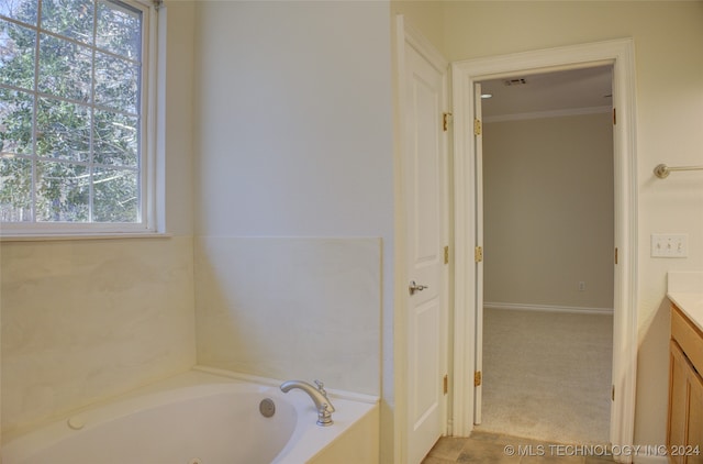 bathroom featuring a washtub, vanity, and ornamental molding