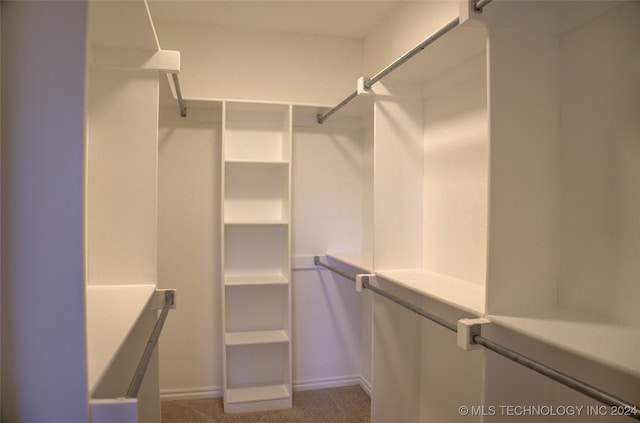 spacious closet with carpet