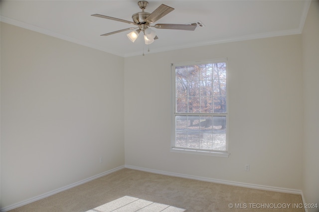 carpeted spare room featuring ceiling fan and crown molding