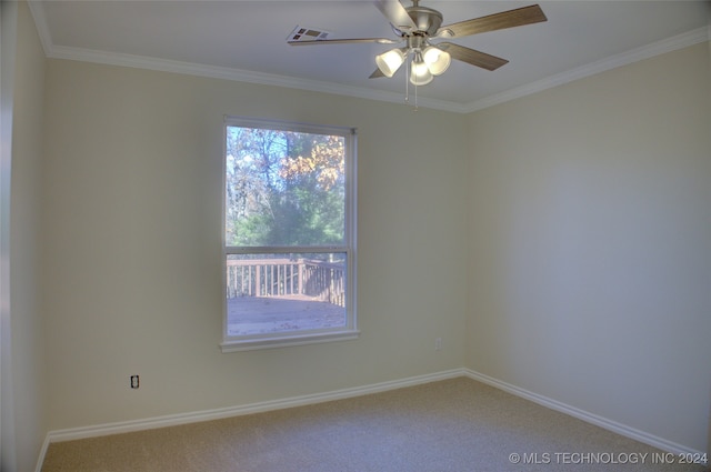 empty room with a healthy amount of sunlight, carpet floors, and crown molding