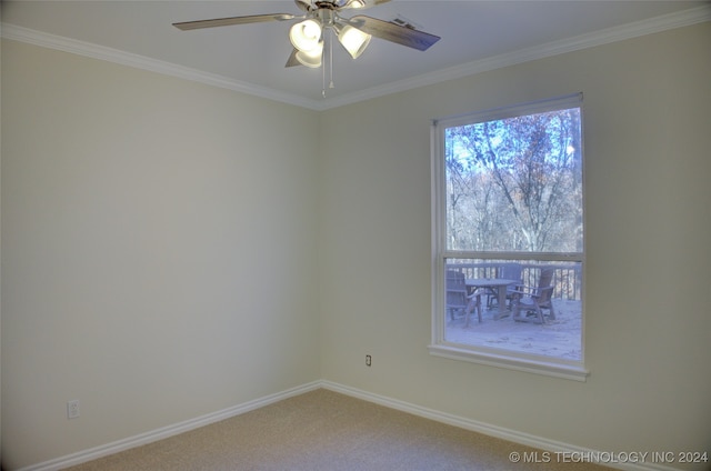 empty room featuring carpet floors, ceiling fan, and ornamental molding