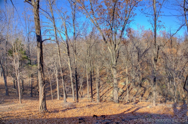 view of local wilderness