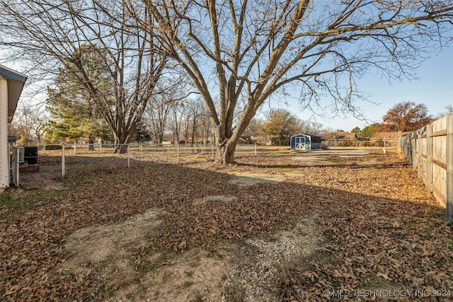 view of yard with a storage unit