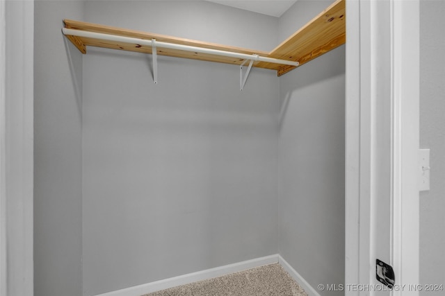 walk in closet with carpet