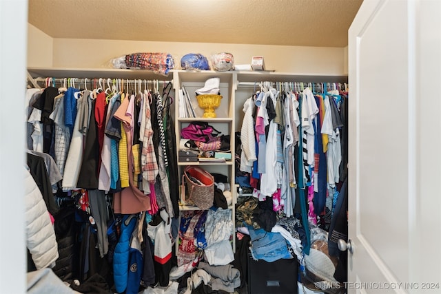 view of walk in closet