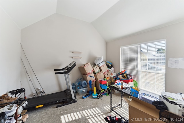 workout area featuring carpet flooring and lofted ceiling