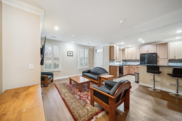 living room with light hardwood / wood-style floors, sink, and crown molding