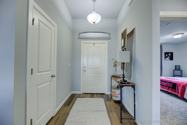 foyer featuring hardwood / wood-style flooring