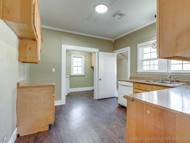 kitchen featuring dishwasher, dark hardwood / wood-style flooring, crown molding, and sink