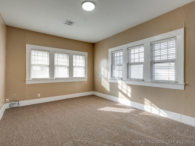 carpeted spare room featuring a healthy amount of sunlight