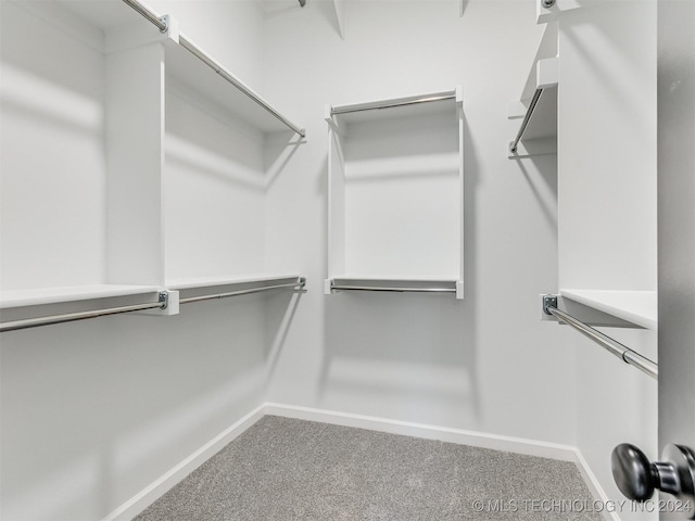 spacious closet featuring carpet flooring