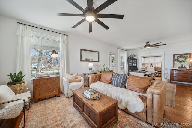 living room featuring ceiling fan and light hardwood / wood-style flooring