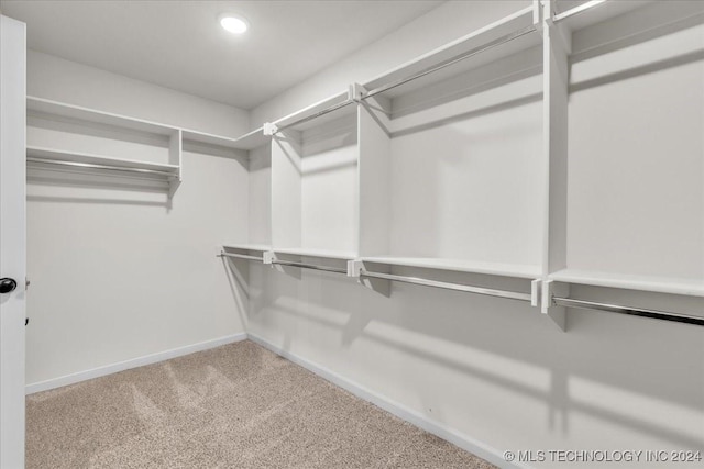 spacious closet featuring carpet floors