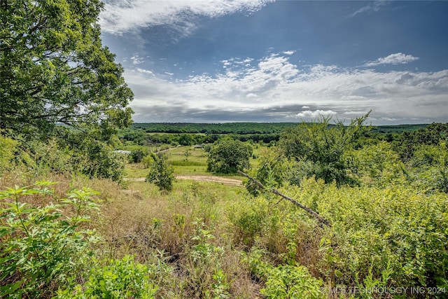 view of landscape