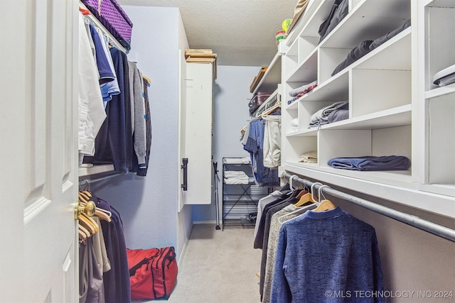 walk in closet featuring light carpet