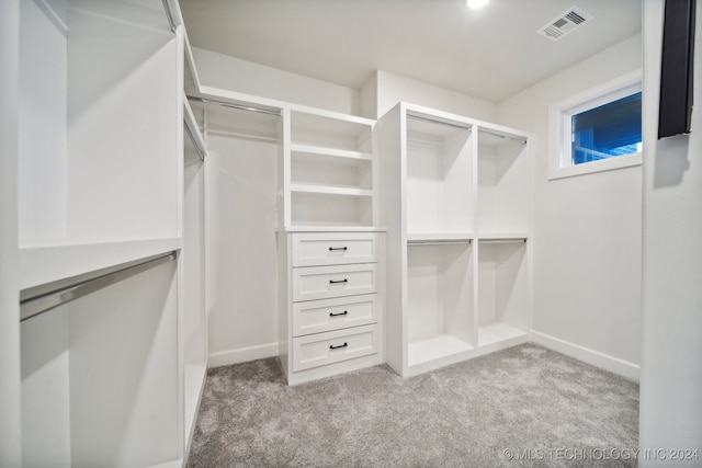 spacious closet featuring light carpet