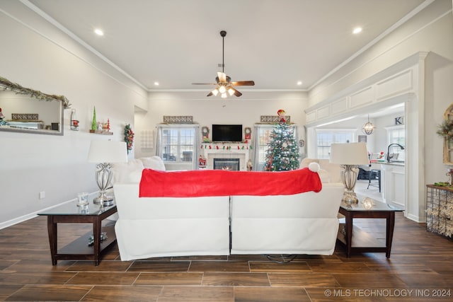 living room featuring ceiling fan, crown molding, dark wood-type flooring, and a tiled fireplace