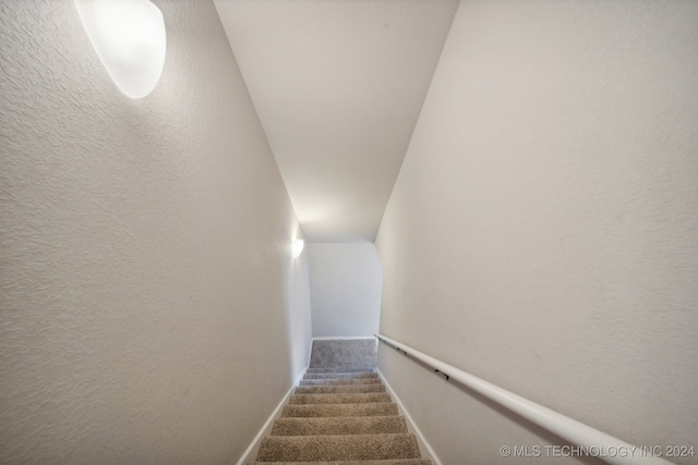 stairway featuring carpet floors