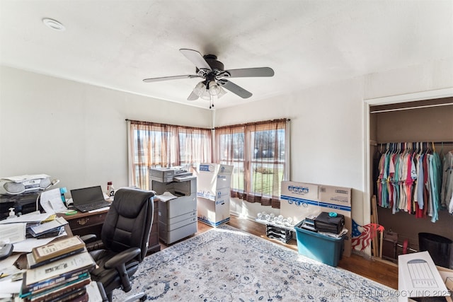 office featuring light hardwood / wood-style floors and ceiling fan