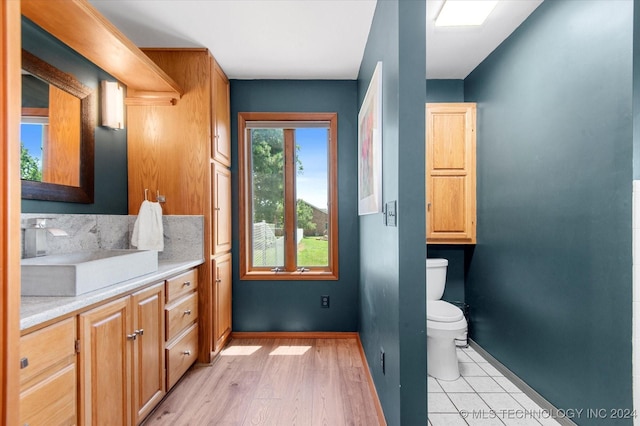 bathroom featuring hardwood / wood-style floors, vanity, and toilet