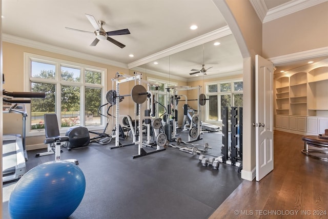 workout area featuring dark wood-type flooring, ceiling fan, and ornamental molding