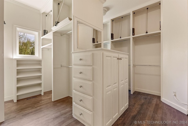 walk in closet featuring dark hardwood / wood-style flooring