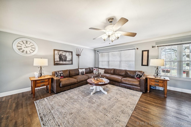 living room featuring ceiling fan, crown molding, and dark wood-type flooring