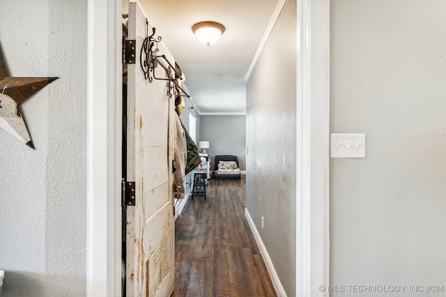 hall with crown molding and dark hardwood / wood-style floors