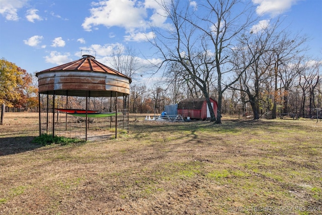 view of yard with a storage shed