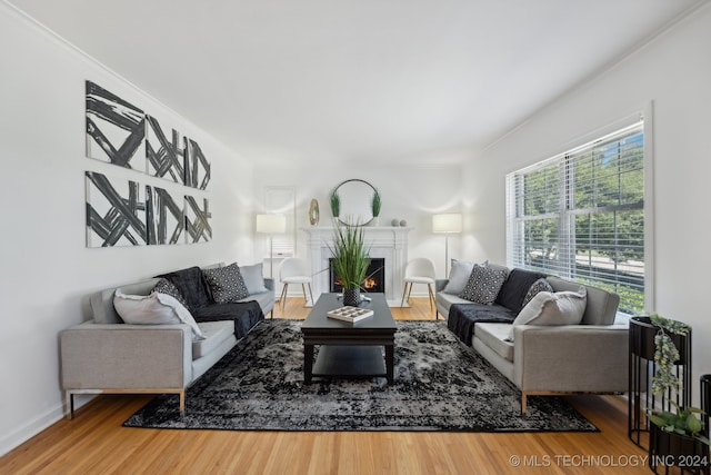 living room with hardwood / wood-style flooring and ornamental molding