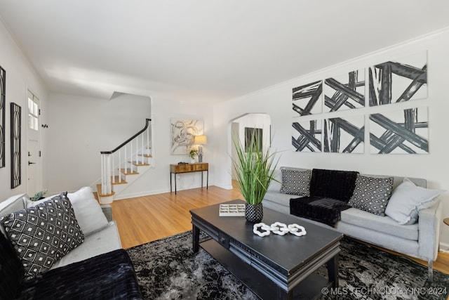 living room with crown molding and wood-type flooring