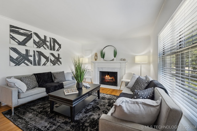 living room featuring wood-type flooring and ornamental molding