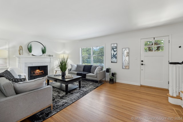 living room featuring a premium fireplace, wood-type flooring, and ornamental molding