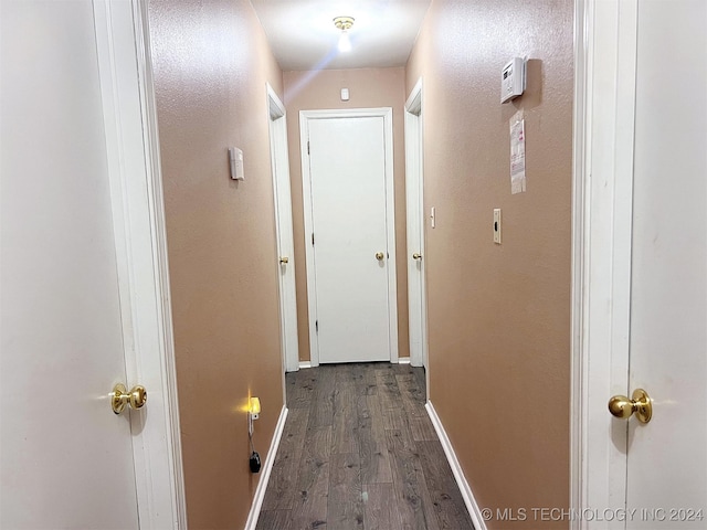 corridor with dark wood-type flooring