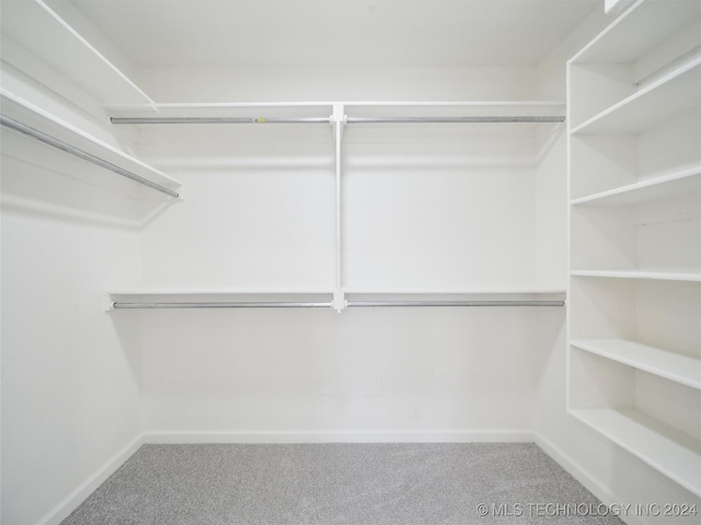 walk in closet with carpet flooring